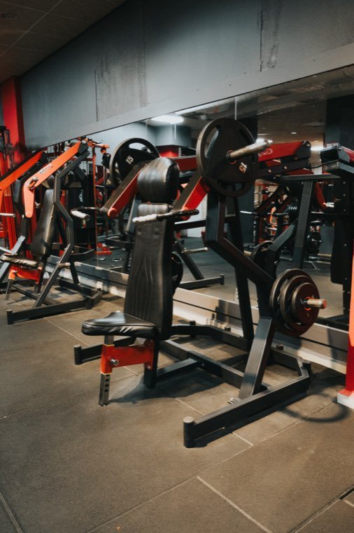 Vücut Geliştirme & Fitness