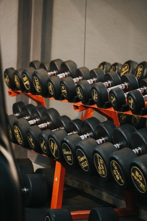 Vücut Geliştirme & Fitness