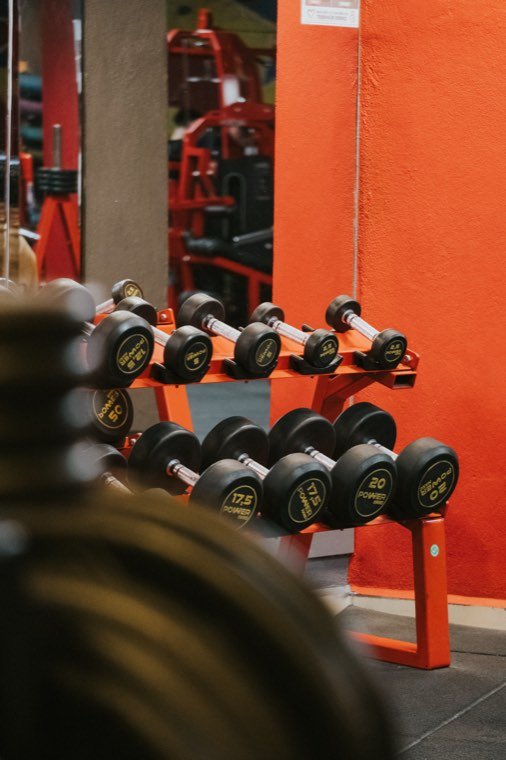 Vücut Geliştirme & Fitness